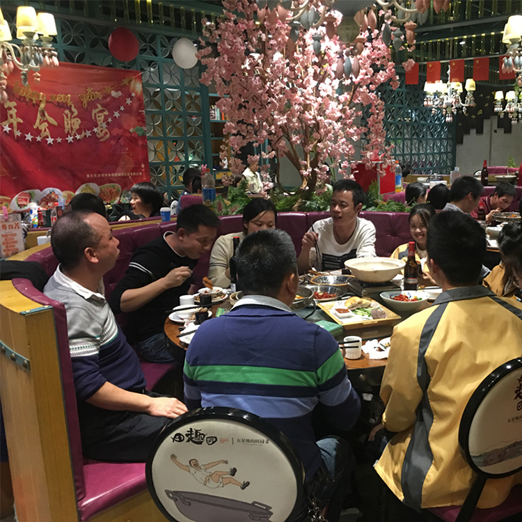 赛诺威视2019年家宴